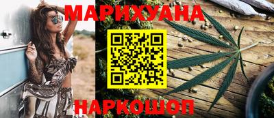 apvp Кингисепп
