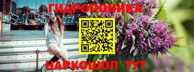 apvp Кингисепп