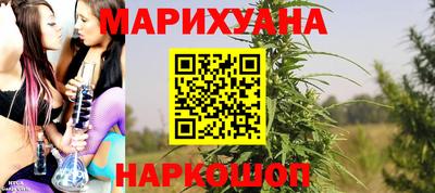 apvp Кингисепп