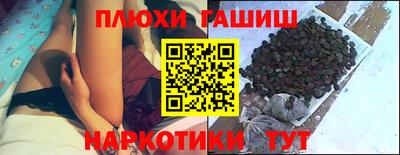 apvp Кингисепп