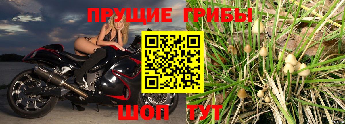 Псилоцибиновые грибы MAGIC MUSHROOMS  Вход с VPN  Карталы 