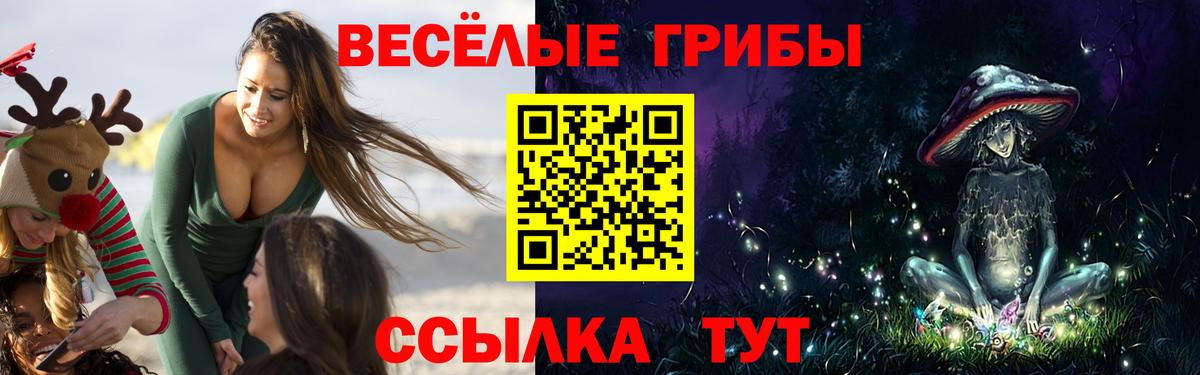 Галлюциногенные грибы Psilocybe Карталы